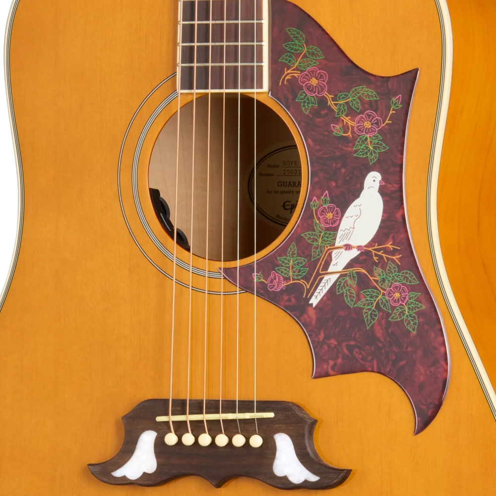 楽天市場】Epiphone Inspired by Gibson Dove Studio (Natural