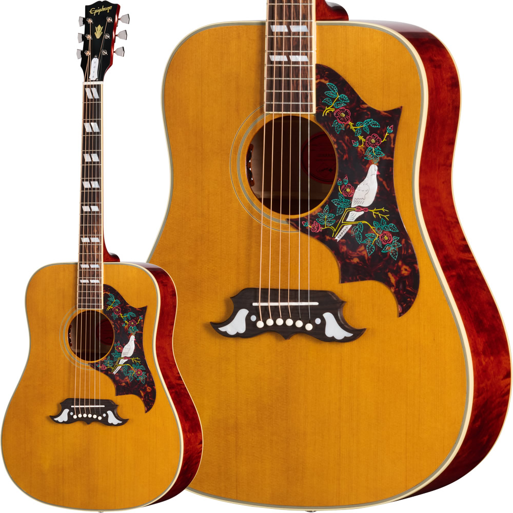 楽天市場】Epiphone Inspired by Gibson Custom 1963 Dove Reissue