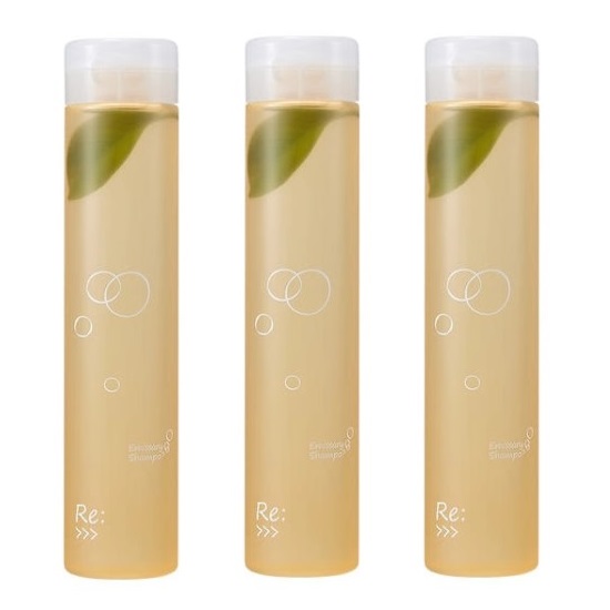 ADJUVANT リ：エミサリーシャンプー 300ml (シャンプー) 価格比較