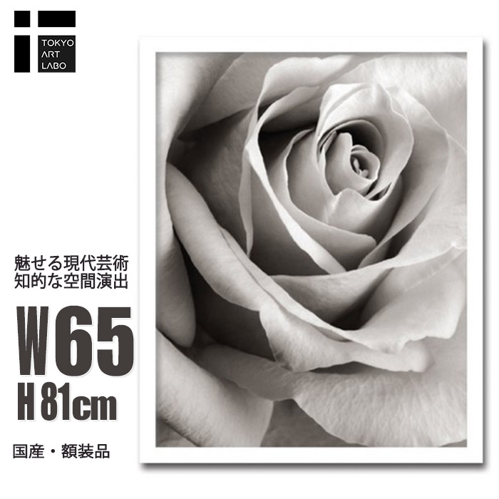楽天市場】アートパネル モダン 花 玄関 Rose バラ レントゲンアート