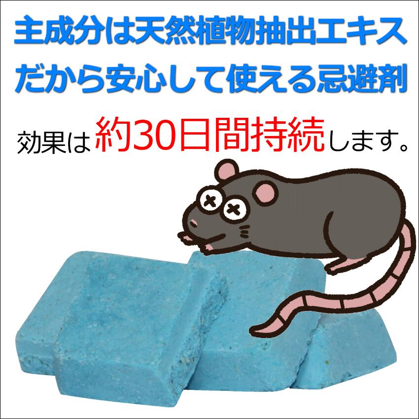 楽天市場】ネズミZ固形タイプ 忌避剤 嫌がる 寄せ付けない 追い出し