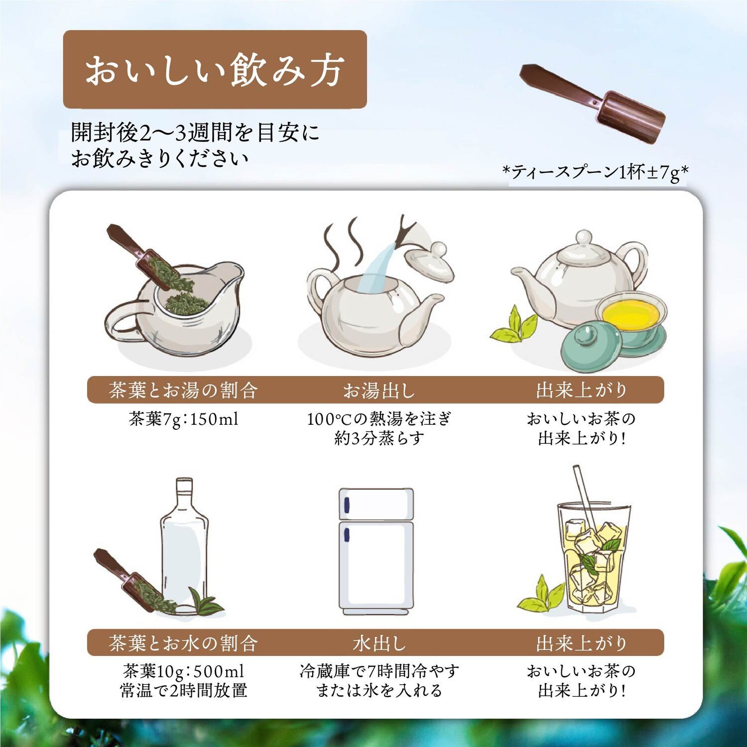 楽天市場】大禹嶺高山茶 75g×2袋 セット 150g 100K茶園 台湾茶 お茶