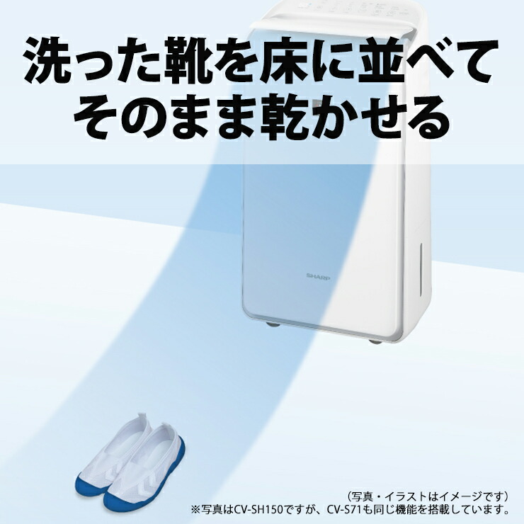 楽天市場】[3/5限定 抽選で最大100%ポイントバック＆最大2000円OFF