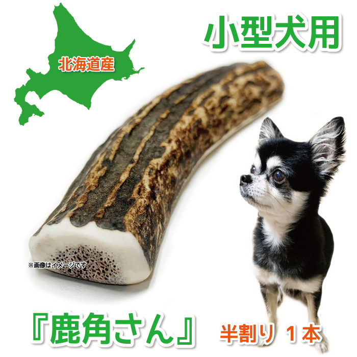 楽天市場】【小型犬用 蝦夷鹿の角】『鹿角さん』 髄出し 半割り 1本