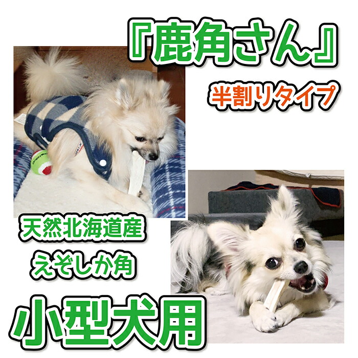 楽天市場】【小型犬用 蝦夷鹿の角】『鹿角さん』 髄出し 半割り 1本