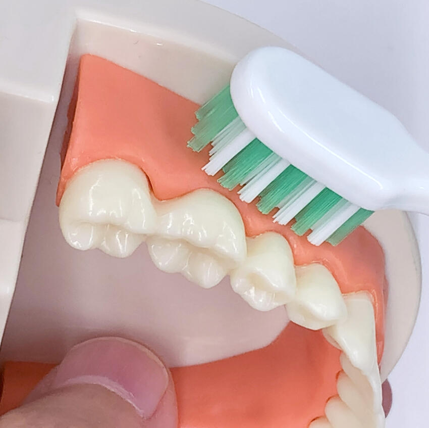 楽天市場】入れ歯専用歯ブラシ 2本組 入れ歯用歯ブラシ : 彩飾健美