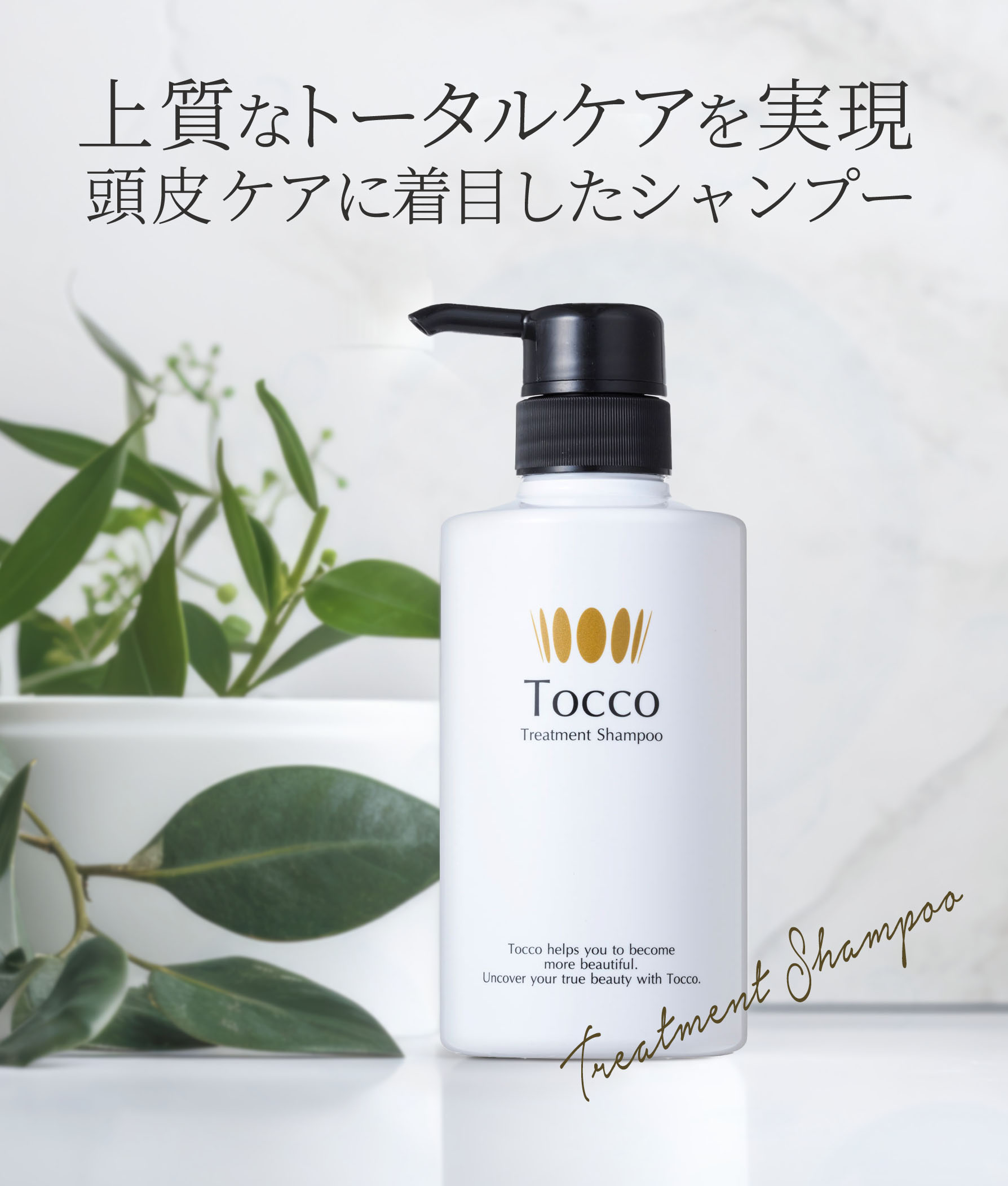 楽天市場 | 【Tocco化粧品】公式ストア - 細胞学研究から生まれた