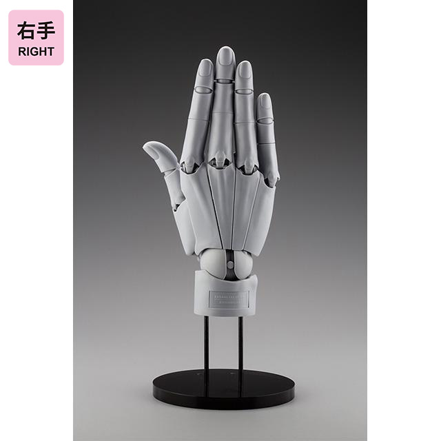 楽天市場】ハンドモデル コトブキヤの通販