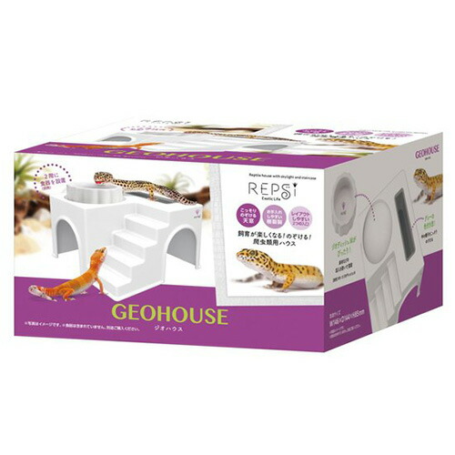 楽天市場】ジオハウス RPS-37 マルカン(REPsi) 爬虫類 シェルター