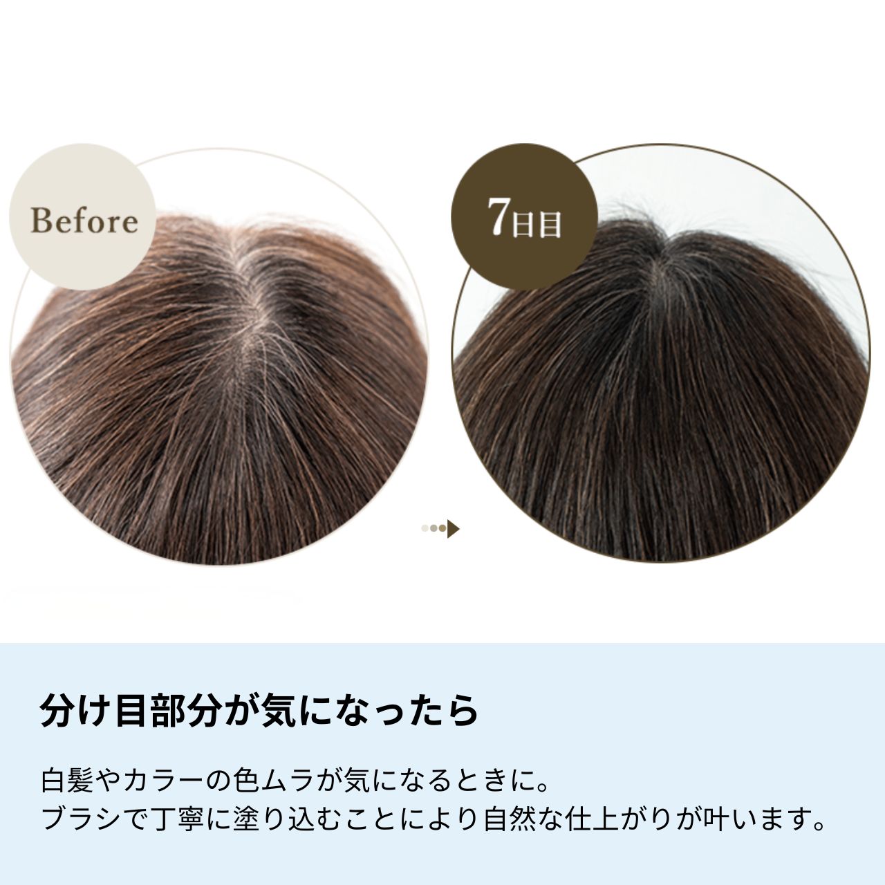 楽天市場】【 生活の木 公式 】ヘアカラー トリートメント ダーク