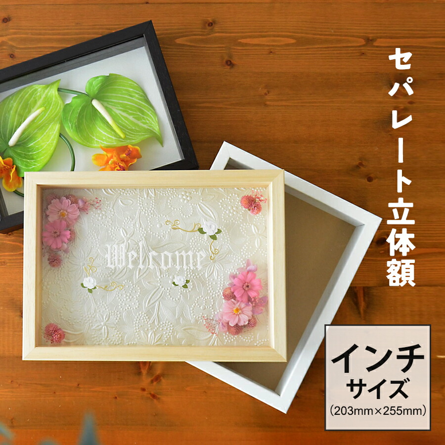 楽天市場】ボックスフレーム 立体額 セパレートタイプ インチ 203×255
