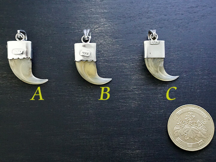 楽天市場】【インディアンジュエリー】 Silver925/動物の爪/ターコイズ