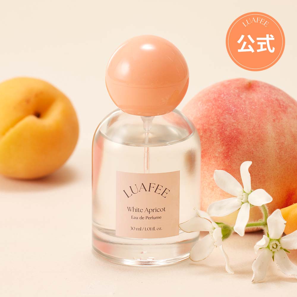 楽天市場】XERJOFF セルヨッフ カサモラティ メフィスト ジェンティ