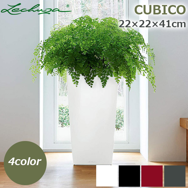 楽天市場】最大100%ポイントバック&最大3000円OFFクーポン 鉢 底面給水