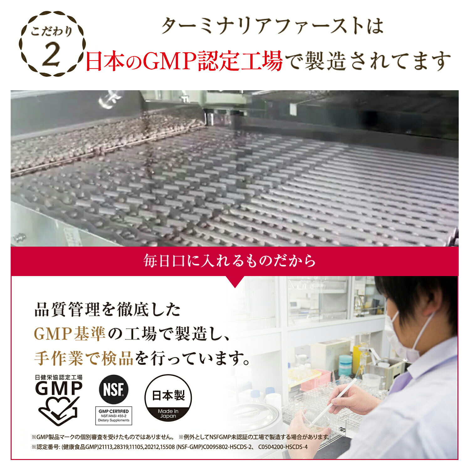 楽天市場】＼15%OFF／ターミナリアファースト ダイエットサポート