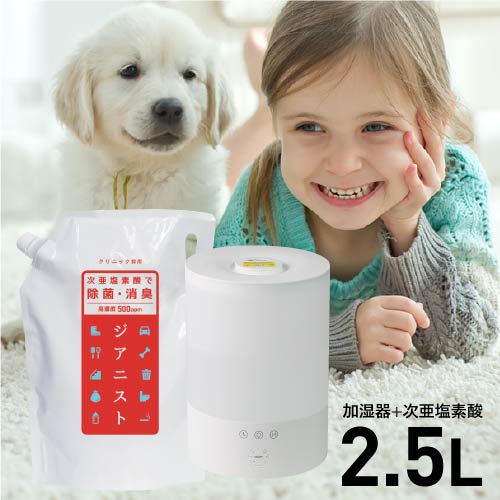 楽天市場】プラスリストア DT カモフラージュコンシーラー + 洗う