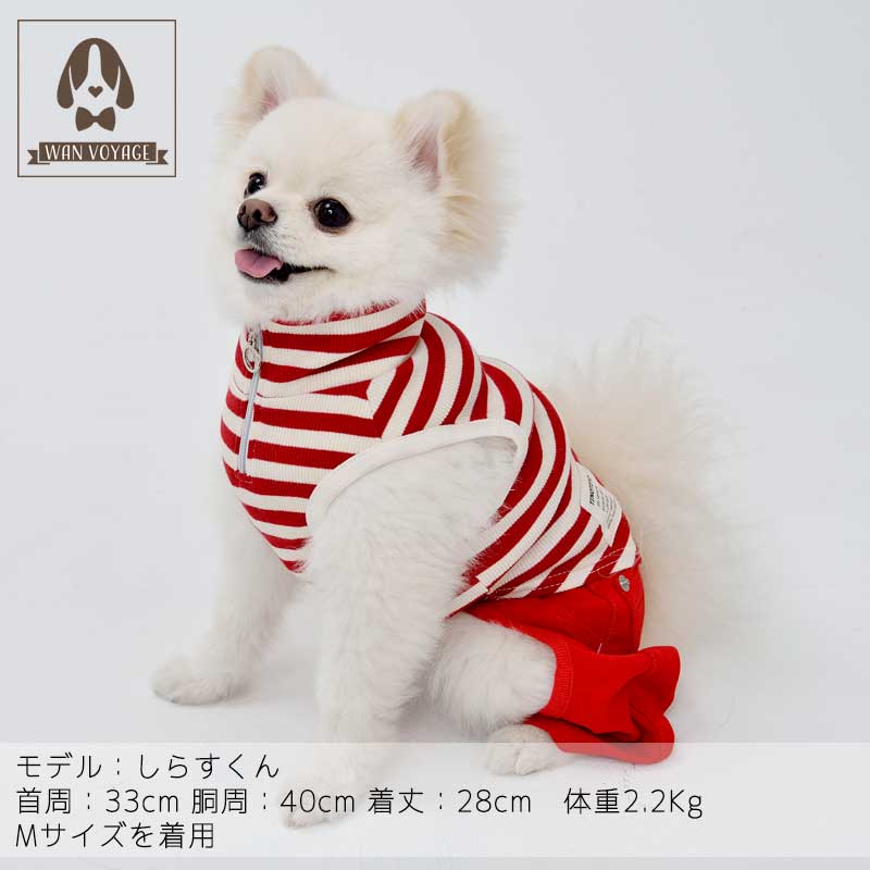 楽天市場】チノオールインワン XS/S/M/L/XL/XXLサイズ TINOTITO ティノ