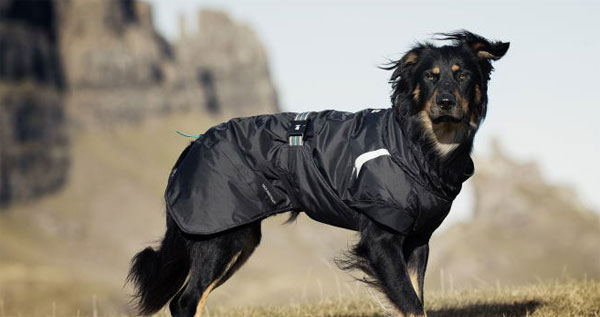 楽天市場】Hurtta フルッタ ドッグコート Summit Parka サミット