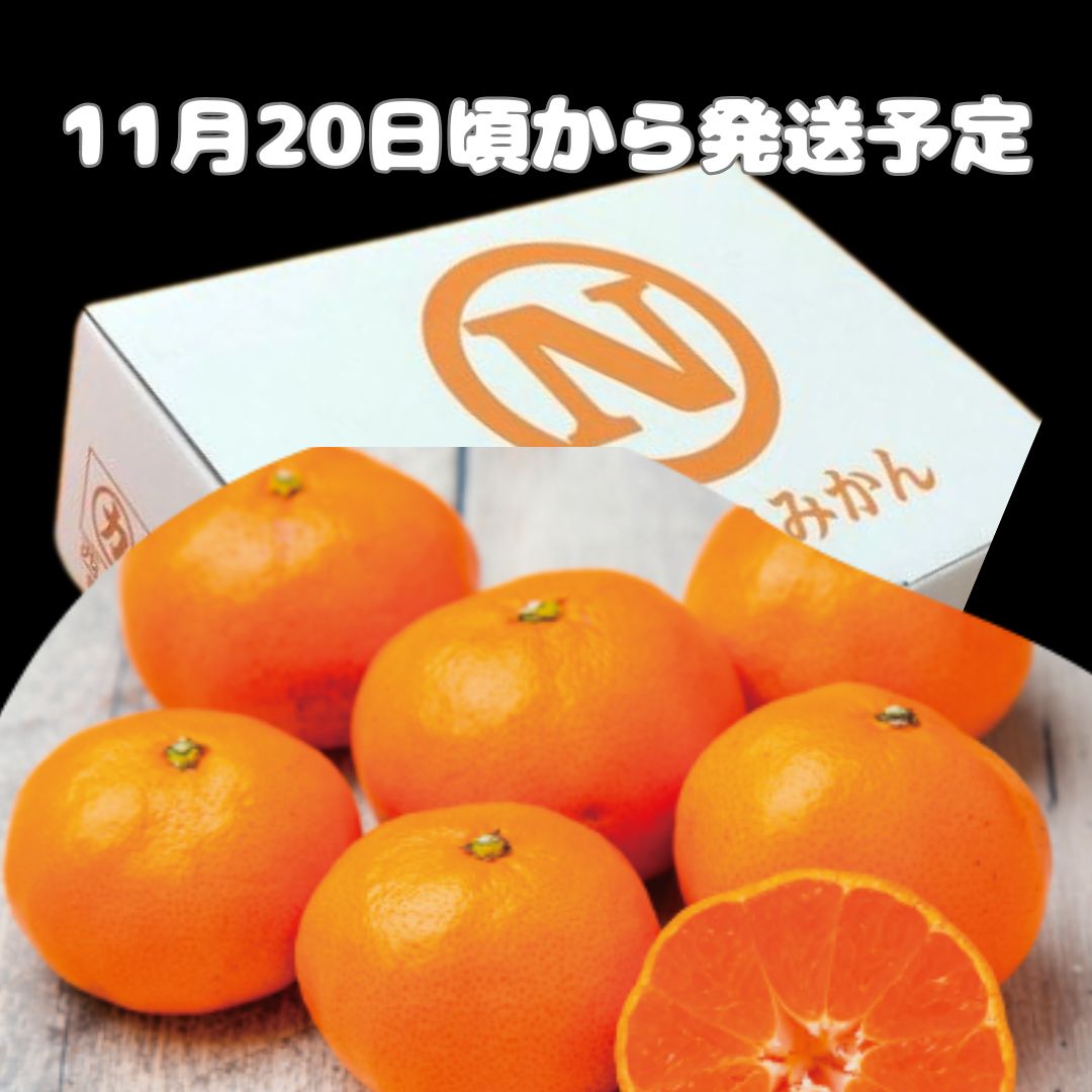 楽天市場】愛媛 みかん 西宇和 みなの ミカン 蜜柑 のし 熨斗 ギフト