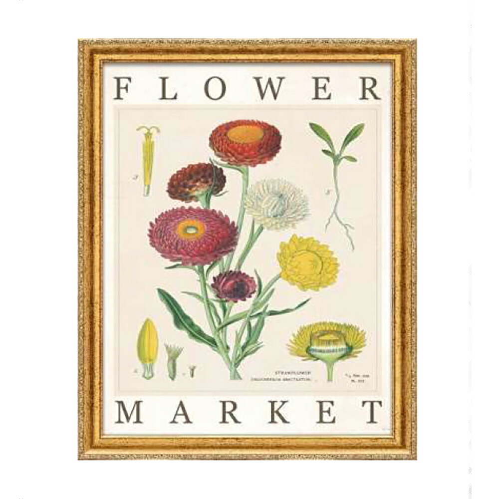 楽天市場】ボタニカルアートフレームの通販