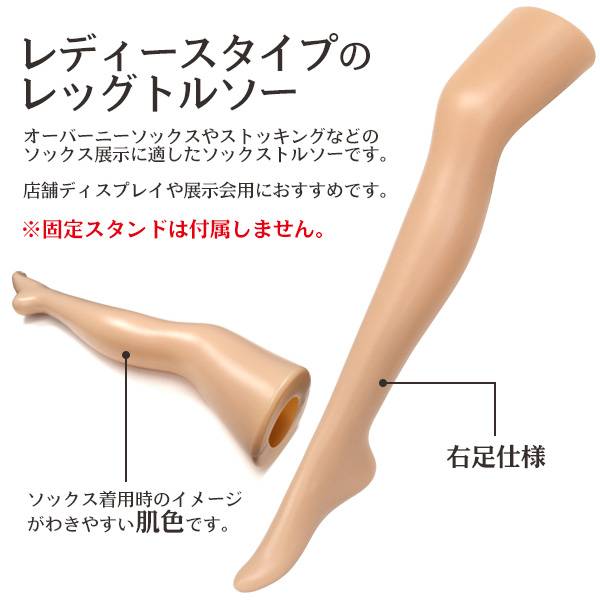 楽天市場】レディース レッグトルソー 肌色タイプ ディスプレイ 撮影用