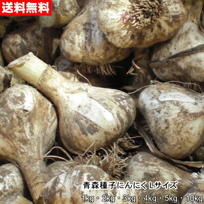 楽天市場】【数量限定】青森種子にんにく Lサイズ 1kg～10kg 種球 国産