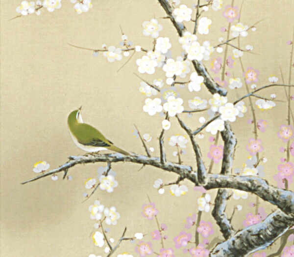 楽天市場】掛け軸 掛軸（かけじく） 紅白梅に鶯（北条 静香）全国送料