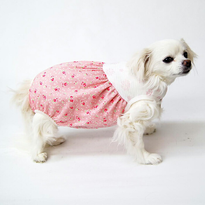 楽天市場】【胴長小型犬向け】おむつカバー型紙 : CELEBDOG