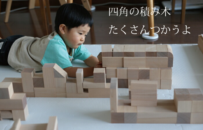 楽天市場】WAKU-BLOCK45 H0 【予約・納期は数カ月】 童具館 積み木