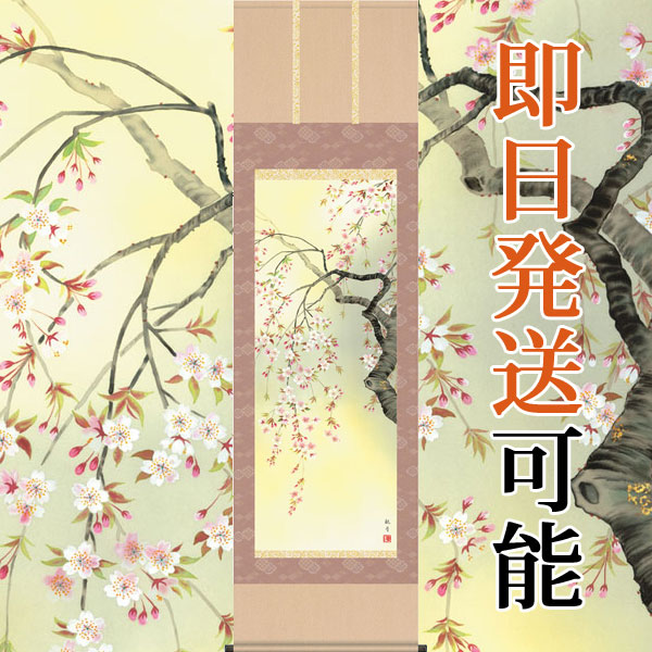 楽天市場】掛軸 鯉の滝昇り 中浦硯堂画(掛け軸 尺五立）幅54.5cm×丈