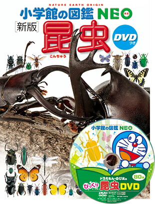 楽天市場】【収納BOX付・送料無料・条件有】小学館の図鑑NEO［新版