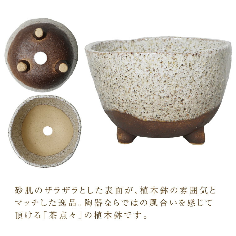 楽天市場】【今だけ限定15%OFFクーポン配布中】信楽焼 植木鉢 陶器