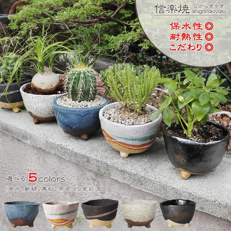 楽天市場】サボテン 鉢の通販