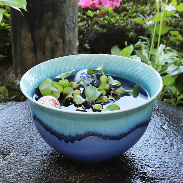 楽天市場】【38時間限定20%OFFクーポン配布中】すいれん鉢 信楽焼