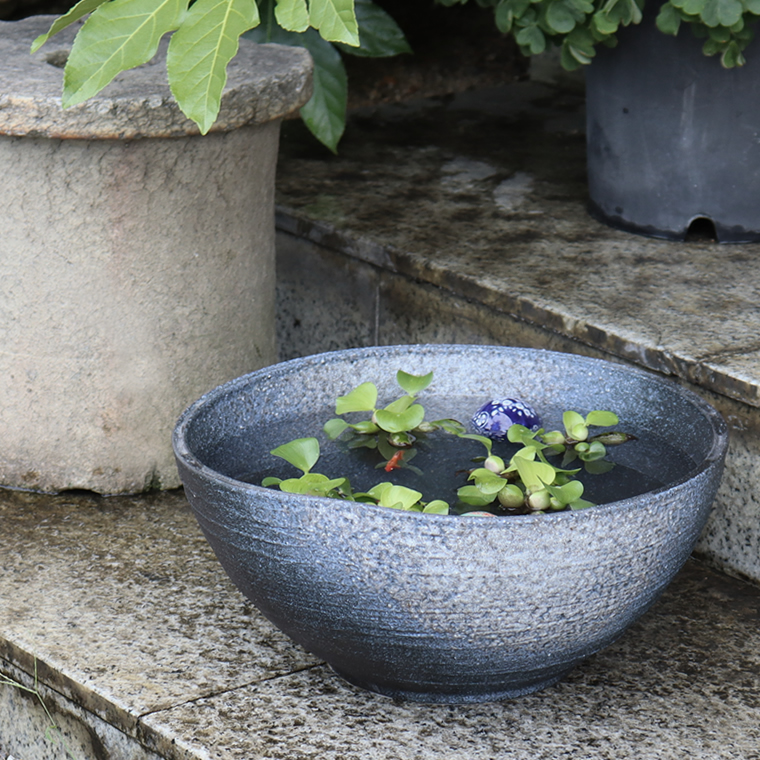 楽天市場】【38時間限定20%OFFクーポン配布中】信楽焼 メダカ鉢