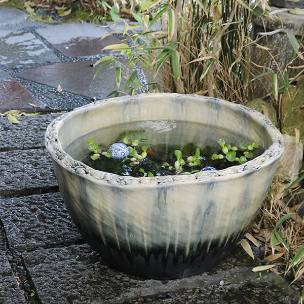 楽天市場】【38時間限定20%OFFクーポン配布中】20号白流し水鉢 信楽焼