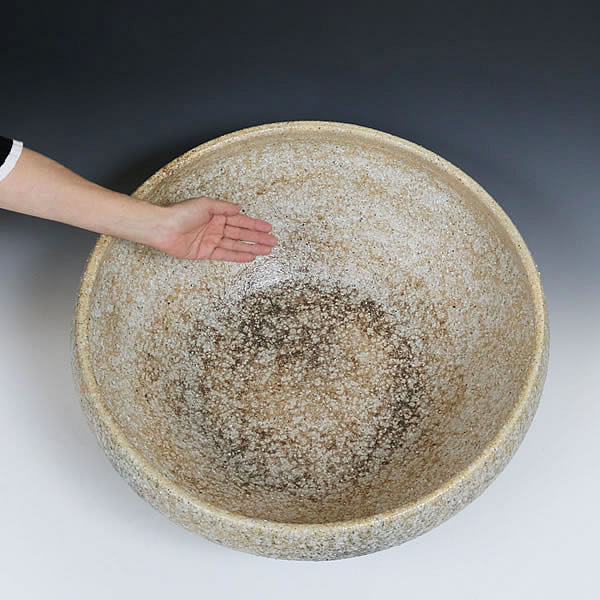 楽天市場】【38時間限定20%OFFクーポン配布中】スイレン鉢 大型 陶器