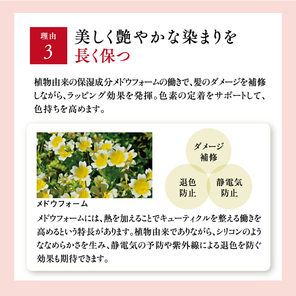 楽天市場】【山田養蜂場】RJヘアカラートリートメント ナチュラル