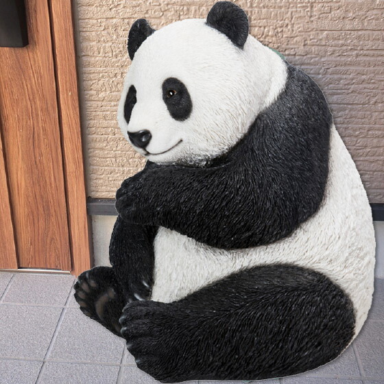 楽天市場】見つめるパンダ（大）62.5 x 61 x 71 cm (幅x奥x高) 本物