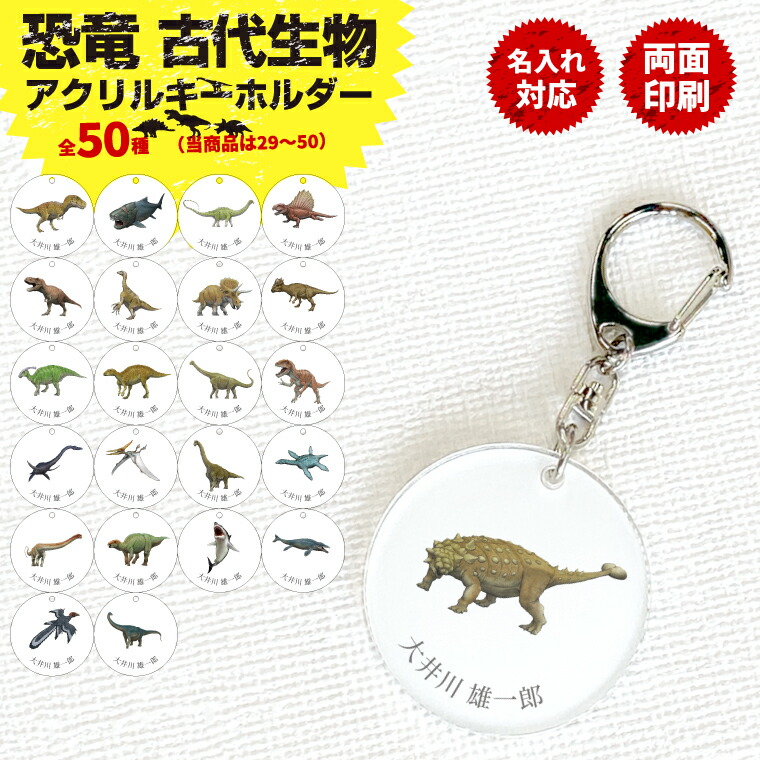 楽天市場】名前 名入れ 恐竜 古代生物 キーホルダー 両面印刷 全50種類