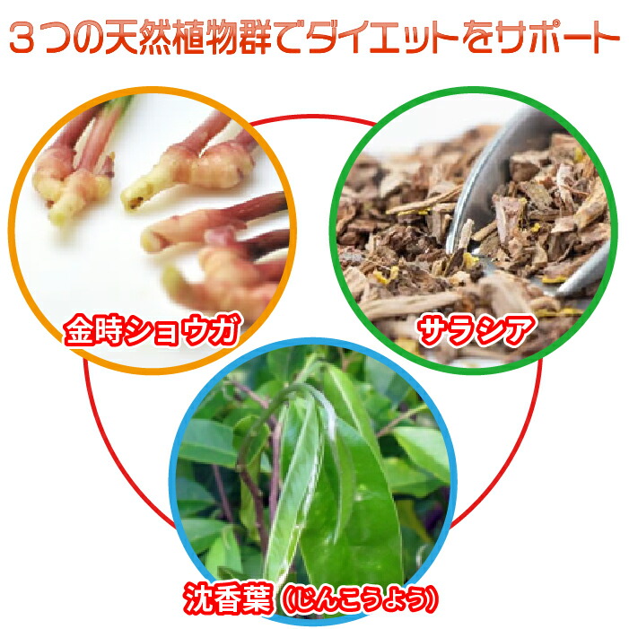 楽天市場】すっきりさんの生活習慣 1袋 60粒 健康食品 サプリメント