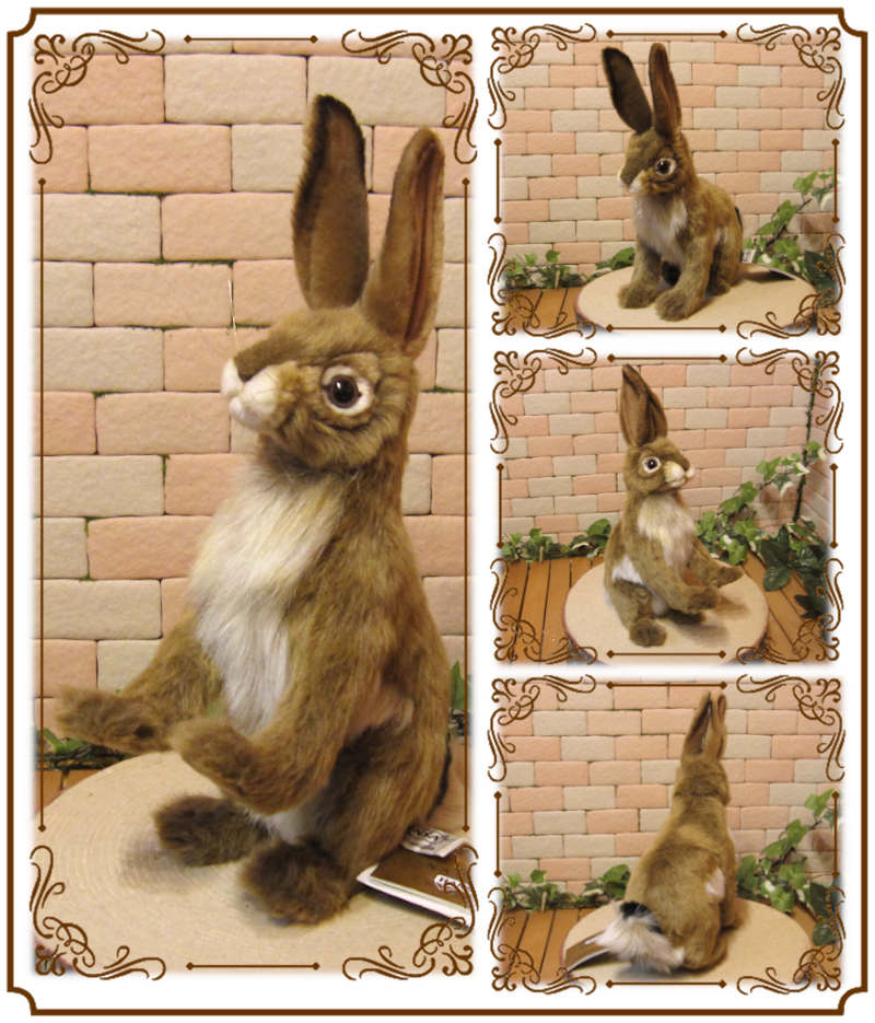 楽天市場】ウサギ 置物 リアルなうさぎのぬいぐるみ ジャックラビット