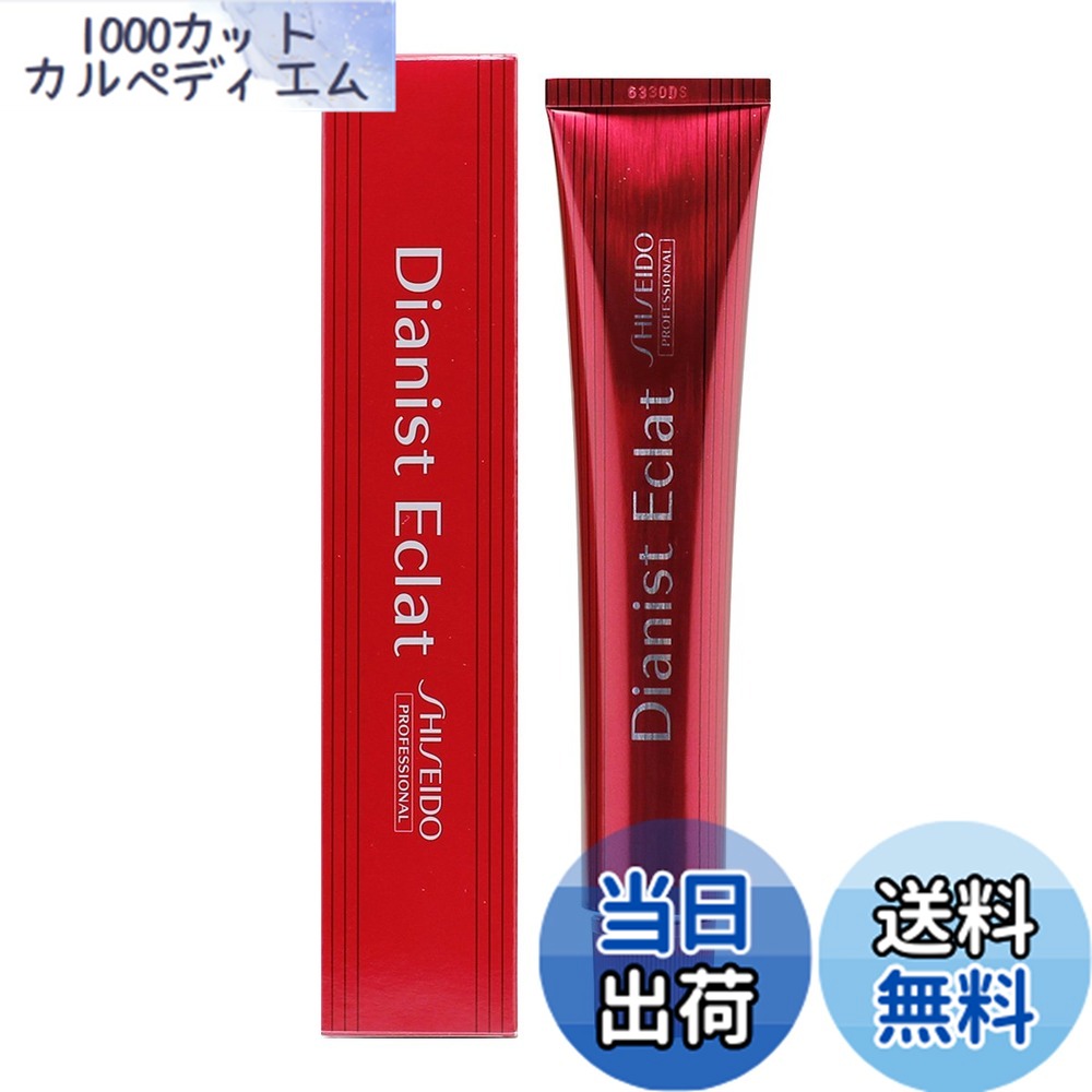 楽天市場】資生堂 ディアニスト エクラの通販