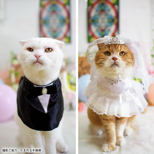 楽天市場】ワンタッチコーデ ウエディング気分 ウエディングドレス