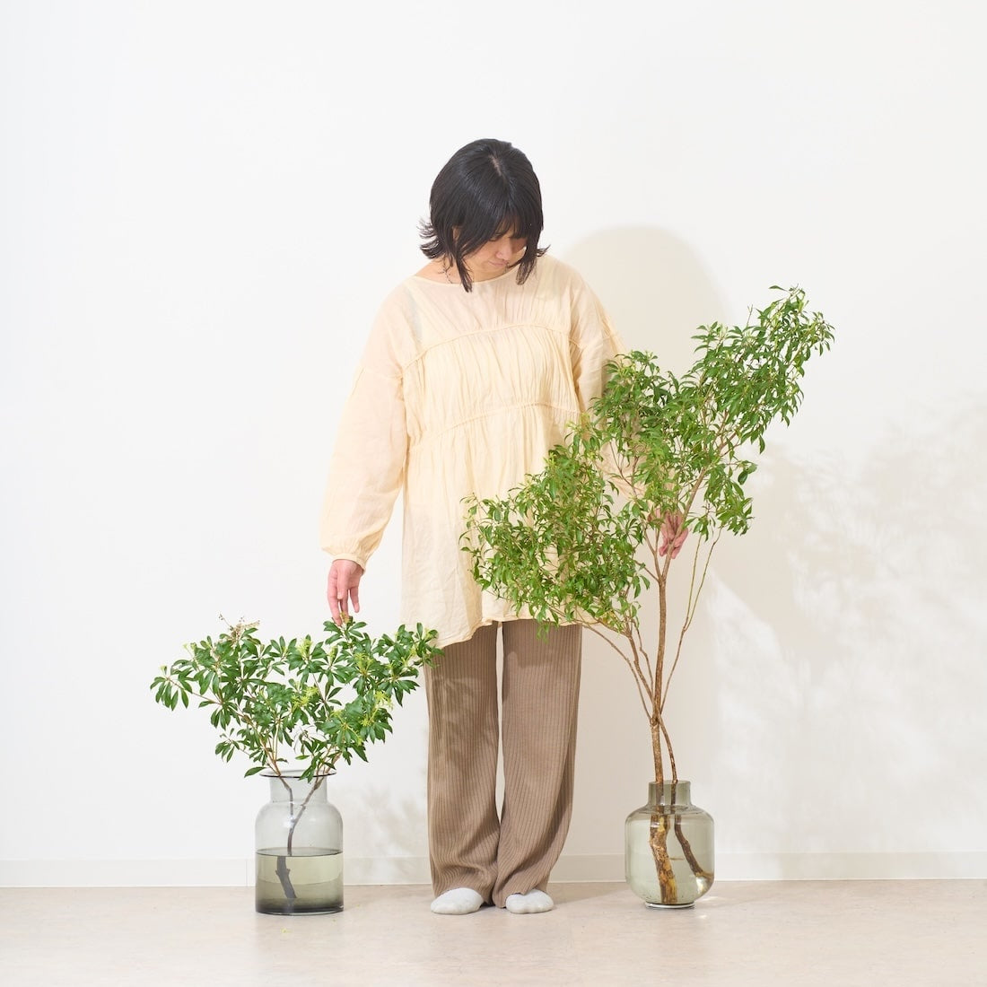 フレッシュな状態でお届け］アセビ - 土と風の植物園