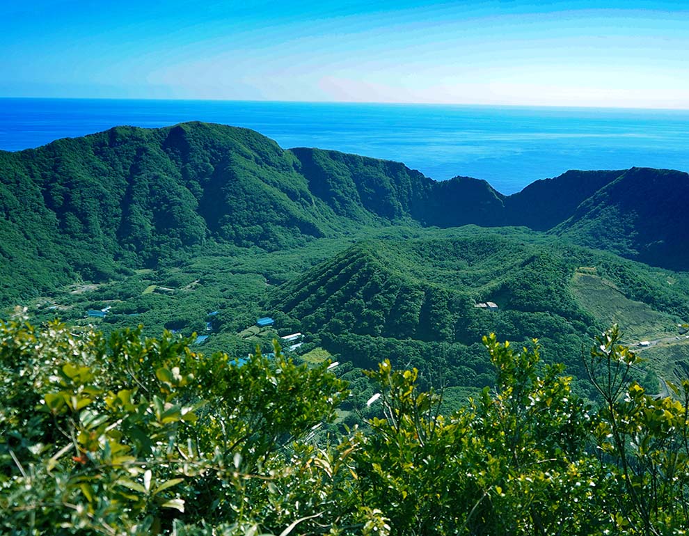 青酎」東京都青ヶ島 幻の焼酎｜通販 取り寄せ｜豊洲市場ドットコム