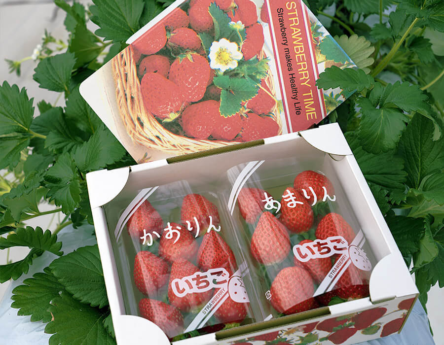 埼玉県のいちご「あまりん」「かおりん」「べにたま」｜豊洲市場ドットコム