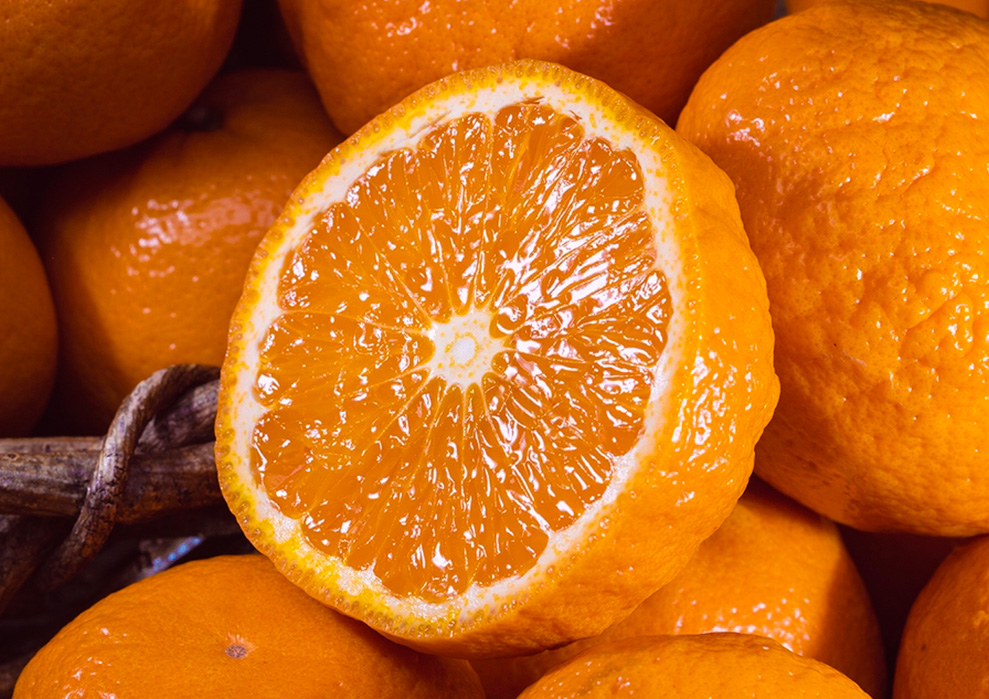 スーパー柑橘 農6（のうろく） キングみかん｜豊洲市場ドットコム