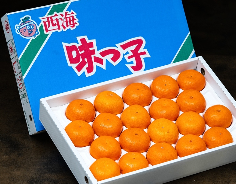 糖度13度以上「ハウス 味っ子みかん（早生種）」長崎県産 M〜L 約2.5kg