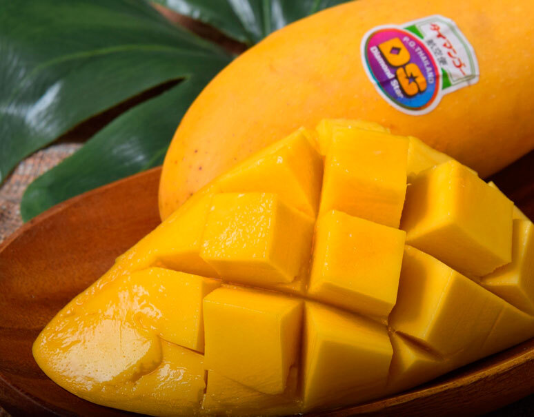 マハチャノック」タイ産マンゴー 3玉 計約1kg 簡易梱包 ※常温｜豊洲